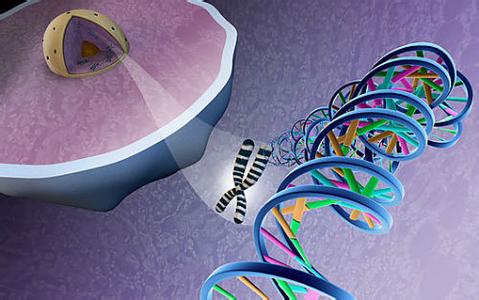 基因测序行业2015年或临洗牌 数据处理催生新兴工业